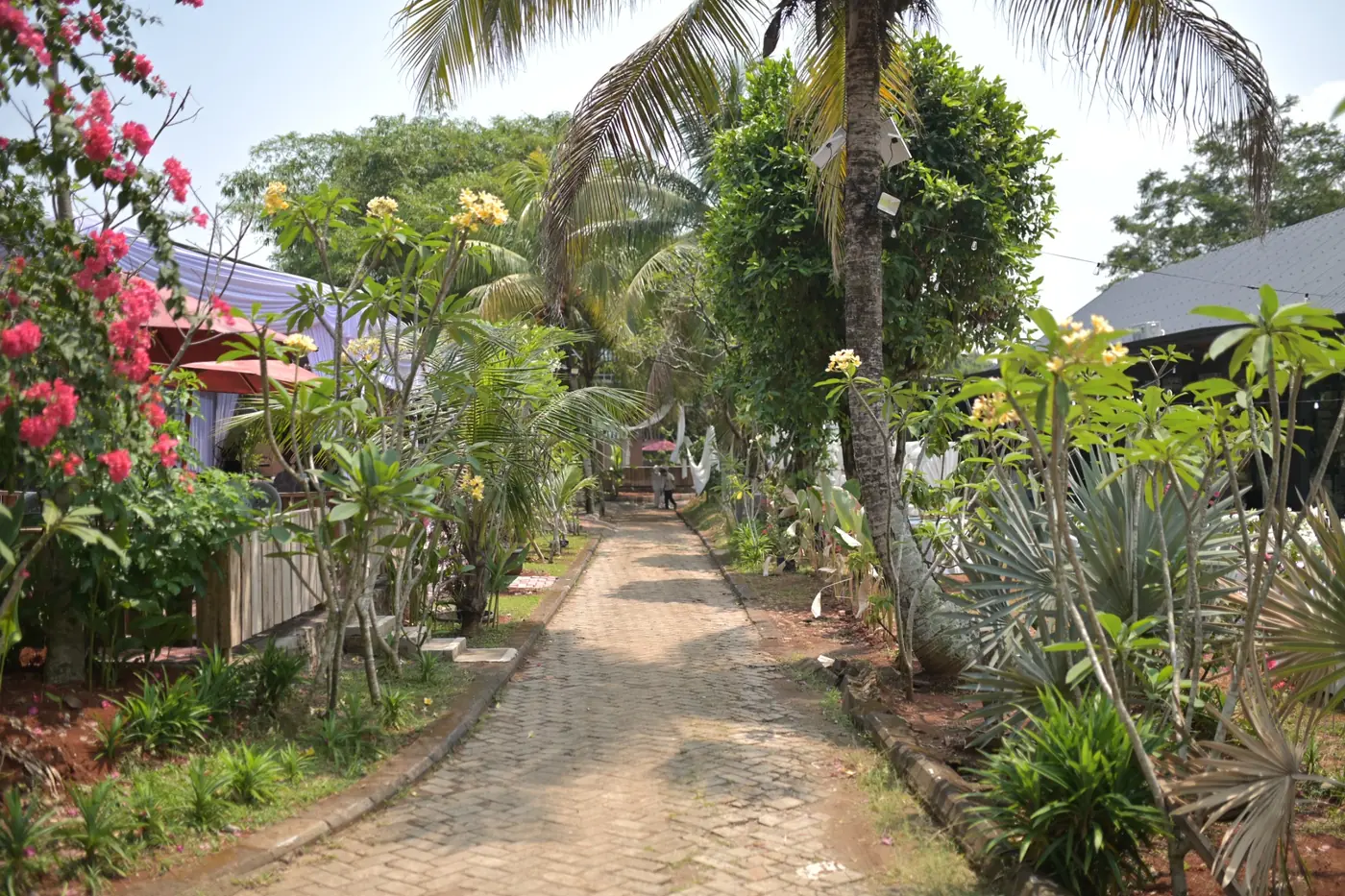 Venue All Area Jagarasa Venue